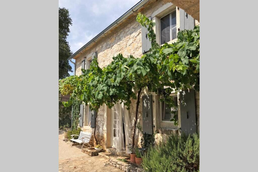Ferienhaus Villa Alisia, Wunderschoenes Natursteinhaus Bei Porec, Istrien, Kroatien Vranje Selo Kültér fotó